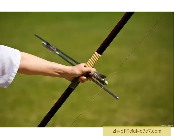 射箭新手入门：技巧、装备、训练全指南