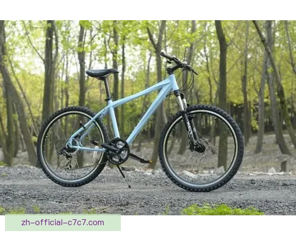 山地车历史漫溯：从起源到辉煌