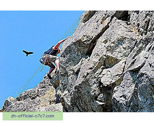 攀岩冠军：悬崖上的飞鹰 终极登峰之路