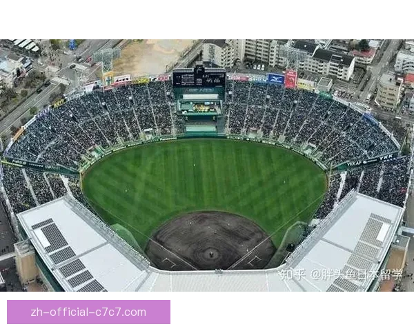 棒球热潮席卷，球场风云再现