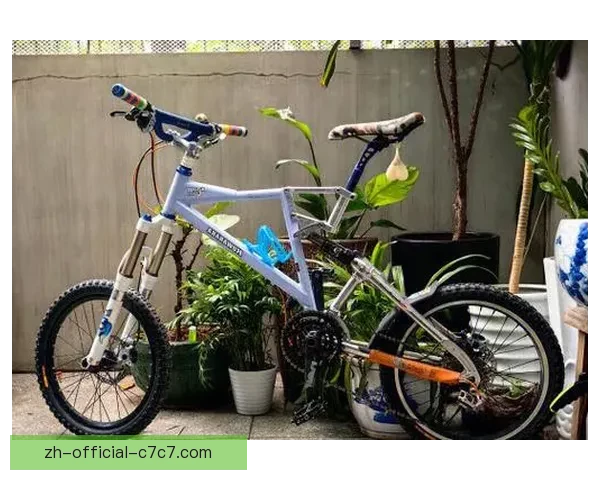 极限骑行：掌握BMX技巧的秘诀