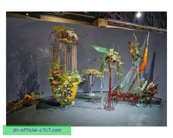 瑜伽比赛冠亚季军揭晓：搭台者折桂，飘逸者争辉，静谧者登高